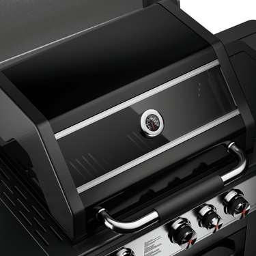 Fornetto – Ranger Pro 310